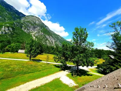 a road in a field with trees and a mountain at Bohinj Star Apartments in Bohinj