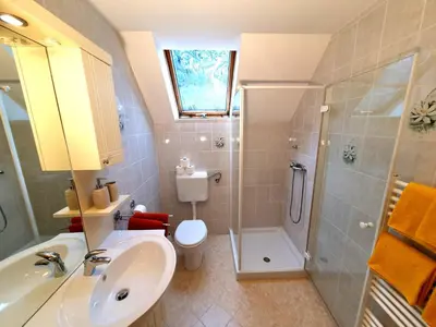 a bathroom with a sink and a shower and a toilet at Bohinj Star Apartments in Bohinj