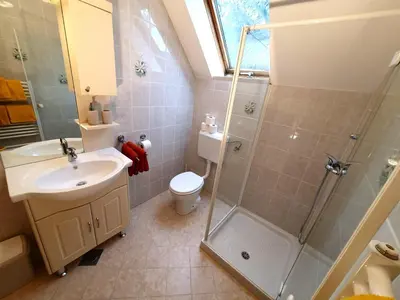 a bathroom with a shower and a sink and a toilet at Bohinj Star Apartments in Bohinj