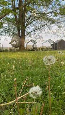 a park with a tree and swings in the grass at MAGNOLIA HOUSE by the RIVER in Metlika