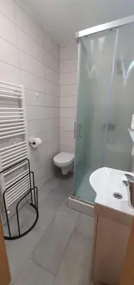 a bathroom with a shower and a toilet and a sink at Apartment Podkuze in Mojstrana