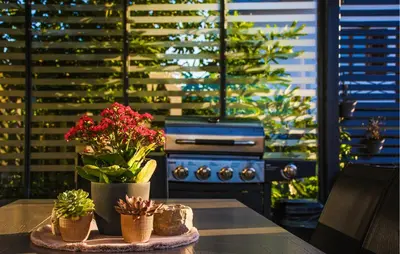 a kitchen with a stove and some plants on a table at 3 Bedroom Awesome Home In Divaca in Divača