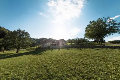 a large field of grass with a house in the background at Holiday home in Smarjeske Toplice Kranjska Krain 42904 in Smarjeske Toplice