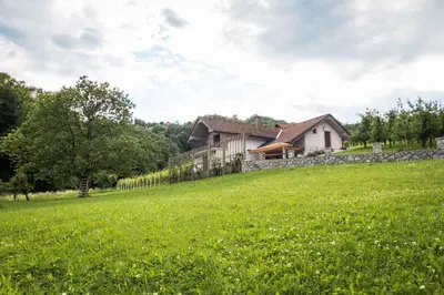 a house on a hill with a green field at Holiday home in Smarjeske Toplice Kranjska Krain 42904 in Smarjeske Toplice