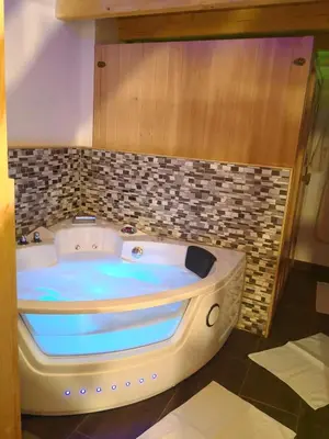 a jacuzzi tub in a room with a tile wall at Pri štorklji in Moravske Toplice