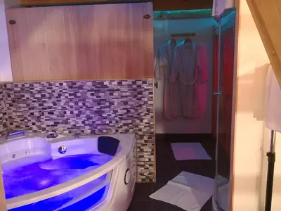 a bathroom with a jacuzzi tub next to a shower at Pri štorklji in Moravske Toplice