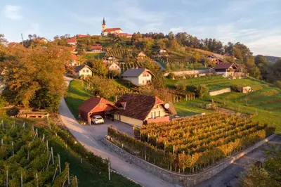 a village on a hill with a bunch of vines at Holiday home in Novo Mesto - Dolenjska Bela krajina Unter- Weißkrain 42895 in Novo Mesto