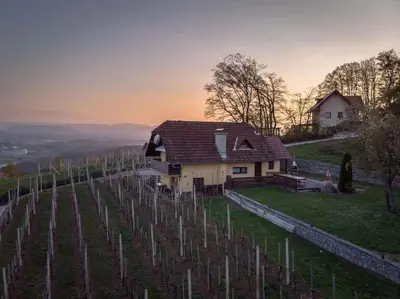 a house on top of a hill with a vineyard at Holiday home in Novo Mesto - Dolenjska Bela krajina Unter- Weißkrain 42895 in Novo Mesto
