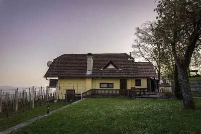 a yellow house with a black roof in a yard at Holiday home in Novo Mesto - Dolenjska Bela krajina Unter- Weißkrain 42895 in Novo Mesto