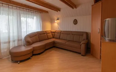 a living room with a couch and a television at Holiday home in Novo Mesto - Dolenjska Bela krajina Unter- Weißkrain 42895 in Novo Mesto