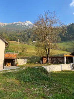 a house in a field with a tree and mountains at Počitniška hiša Mlekarna Grant in Grahovo