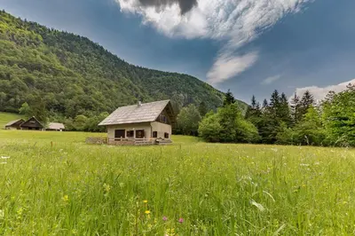 an old house in a field of grass with a mountain at Počitniška Hiša Voje in Srednja Vas v Bohinju