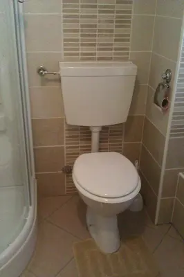 a bathroom with a white toilet and a shower at Studio Brnat in Kobarid