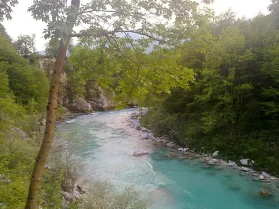 a river with blue water and rocks in a forest at Studio Brnat in Kobarid