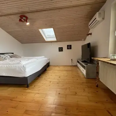 Apartment LakeBled with Casle Bled view