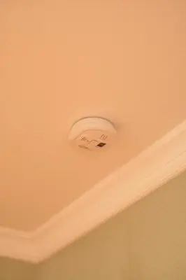 a ceiling with a smoke detector on it at Holiday Home Lož in Stari Trg pri Ložu