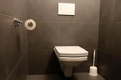 a bathroom with a toilet and a roll of toilet paper at Apartments with Private Saunas - WELLNESS Gobi in Podčetrtek