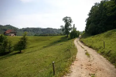a dirt road in the middle of a field at Apartments with Private Saunas - WELLNESS Gobi in Podčetrtek