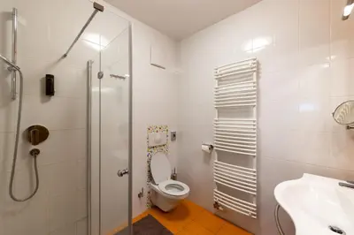 a bathroom with a shower and a toilet and a sink at Luxury apartments Prežin in Pohorje