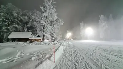 a snow covered street with a house and a tree at Luxury apartments Prežin in Pohorje