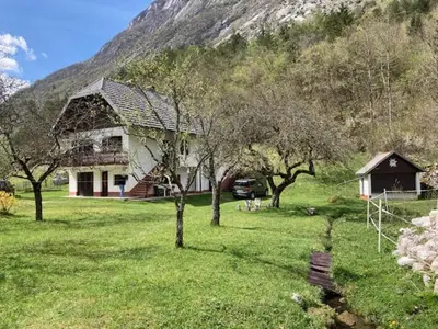 a house in a field with trees and a mountain at Roja House in Soča