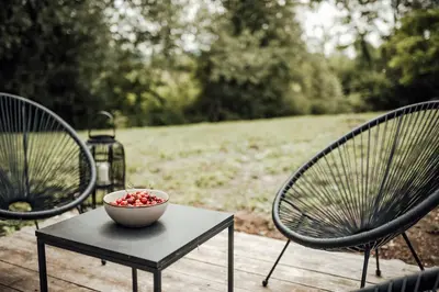 two chairs and a bowl of fruit on a table at Apartment Island Country House in Savinja Valley in Žalec