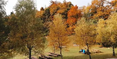 two people sitting on benches in a park with trees at Apartment Island Country House in Savinja Valley in Žalec