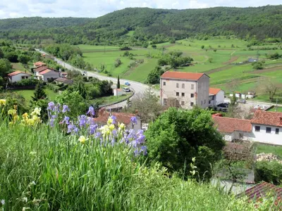 a village in the hills with flowers at Apartma Qbed in Gračišče