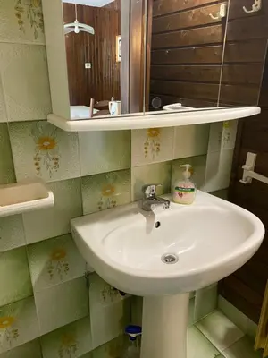 a bathroom with a sink and a mirror at Apartma Anton in Kranjska Gora