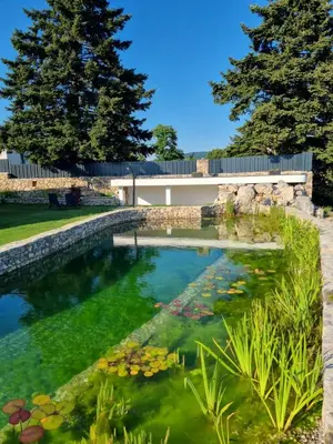 a pond with a bridge and flowers in a yard at Shamarè Resort & Wellness Spa in Hrpelje