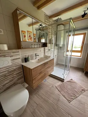 a bathroom with a toilet and a shower and a sink at Apartma Ana in Manca in Begunje na Gorenjskem