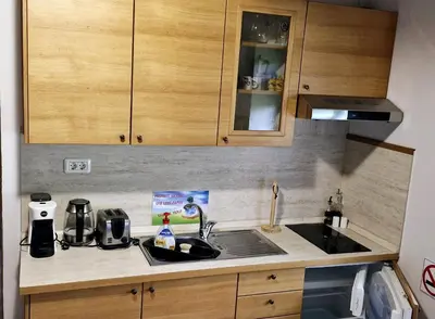 a kitchen with a sink and a counter top at GUESTHOUSE Idila pod Nanosom in Senožeče
