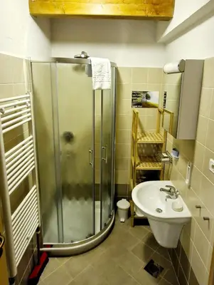 a bathroom with a shower and a sink at GUESTHOUSE Idila pod Nanosom in Senožeče