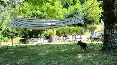 a dog standing under a hammock hanging from a tree at GUESTHOUSE Idila pod Nanosom in Senožeče