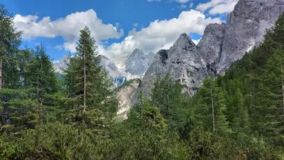 a view of a mountain range with trees and mountains at Tičarjev Dom at Vrsic pass in Soča