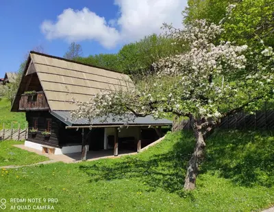 a tree with white flowers in front of a building at Eco tourist farm Mikl in Prevalje