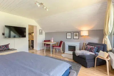 a bedroom with a bed and a couch and a fireplace at Rož'ca apartments with mountain view in Mojstrana