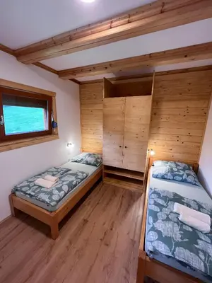 two beds in a room with wooden walls at Hiša Breza in Mozirje