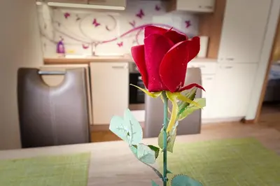 a red rose on a table in a kitchen at Apartment Mari in Bohinj
