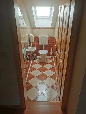 a bathroom with a toilet and sink and a window at Turistična kmetija Ramšak in Zreče