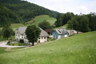 a group of houses on a hill with a green field at Apartments Cvetje v Jeseni in Škofja Loka