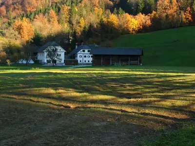 a large grass field with a house in the background at Apartments Cvetje v Jeseni in Škofja Loka