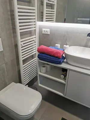 a bathroom with a white toilet and a sink at DREAMY CENTER LOCATION in Ljubljana