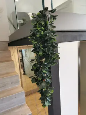 a green plant is hanging from a staircase at DREAMY CENTER LOCATION in Ljubljana