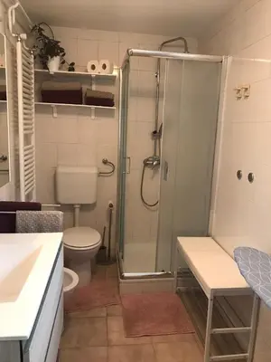 a bathroom with a shower and a toilet at Koradinovi - Pod vrtom in Vipava