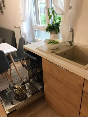 a kitchen with an open dishwasher next to a sink at Koradinovi - Pod vrtom in Vipava