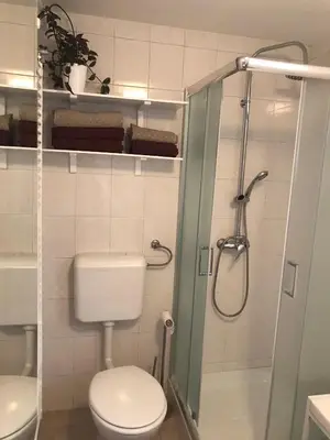 a bathroom with a toilet and a shower with a glass door at Koradinovi - Pod vrtom in Vipava