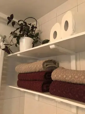 a shelf with towels and a plant on it at Koradinovi - Pod vrtom in Vipava