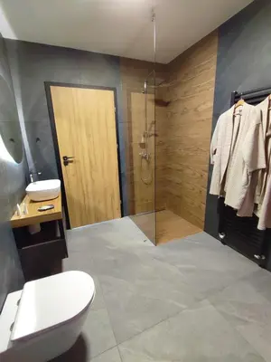 a bathroom with a shower and a toilet and a sink at Boutique rooms by Petrič winery in Dobravlje