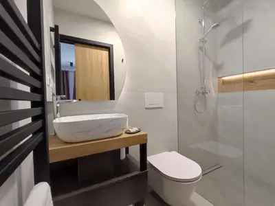 a bathroom with a sink and a toilet and a shower at Boutique rooms by Petrič winery in Dobravlje